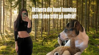 Trötta ut hunden inomhus  Vloggvecka dag 3 [upl. by Wittenburg]