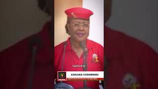 Arikana Chihombori speaks on African Unity africa foryou fypyoutube fyp shorts [upl. by Augy]