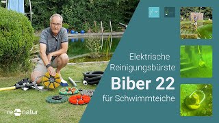 Effektive Reinigung mit der elektrischen Reinigungsbürste Biber 22  Schwimmteich amp Granittreppe [upl. by Sivad645]