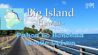 Pahoa to Honokaa  Hawaii Big Island TownScenic DrivesHomes [upl. by Nolek312]