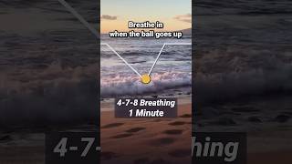 478 Breathing 1 Minute [upl. by Einotna]