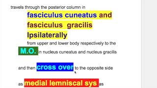 Astereognosis stereognosis two point discrimination graphesthesia Dejerine–Roussy syndrome [upl. by Homerus147]