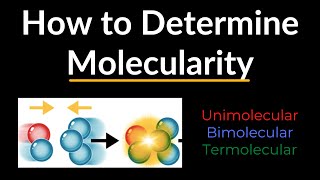 How to Determine Molecularity of a Reaction Examples Unimolecular Bimolecular Termolecular [upl. by Tiedeman108]