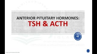 ACTH adrenocorticotropic hormone TSH Thyroid stimulating hormone Pharmacology [upl. by Eilagam]