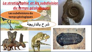 StratotypeBiozonelacune stratigraphiquesDiscordance géologiquecycle sédimentairesشرح بالدرايجة [upl. by Zaid]