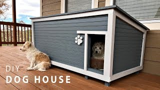 DIY Insulated Dog House Build [upl. by Borroff792]