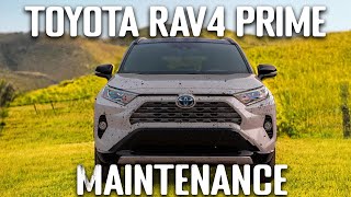 Toyota RAV4 Prime  12v battery maintenance and more accessories [upl. by Ecinerev]