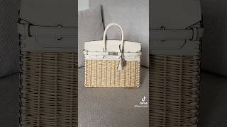 Hermès Birkin 25 PICNIC hermes birkin25 styleinspiration [upl. by Annor]