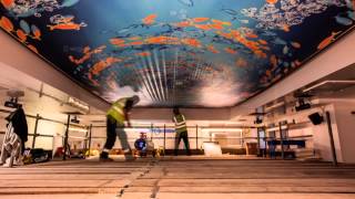 Barrisol® Print Stretch Ceiling Installation [upl. by Dragone]