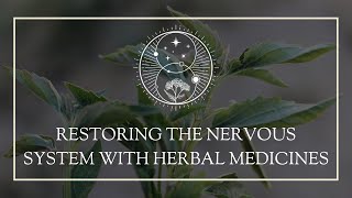 Restoring the Nervous System with Herbal Medicines [upl. by Menis]