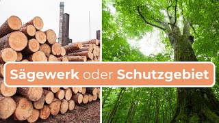 WaldInvestment Wilde Wälder Auf dem Prüfstand mit David Frank [upl. by Skye]