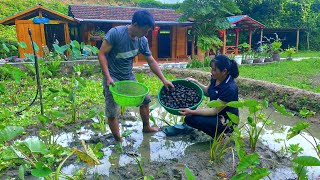 The process of harvesting snails after 1 month of farming Forest life skills DT [upl. by Amalea882]