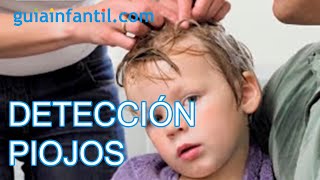 Detección de piojos en los niños vídeo práctico de cómo revisar la cabeza [upl. by Meehahs]