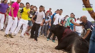 Toro de la Vega 2014 [upl. by Rheingold538]