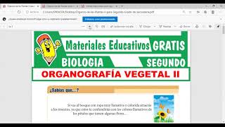 Repaso de Organografía vegetal y plantas medicinales  2do de secundaria [upl. by Jamaal]