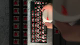 ASUS ROG Azoth  Chilled mechanical keyboard cleaning [upl. by Zorine]