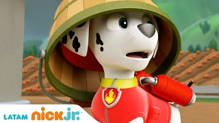 Paw Patrol Patrulla de cachorros  Rescates en la tierra  parte 1  Nick Jr en Español [upl. by Harlen]