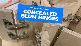 All the main Blum hinge types explained [upl. by Hgielhsa]