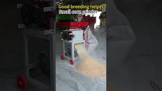 agriculturalmachines Good breeding helper Small corn grinder [upl. by Dianne]