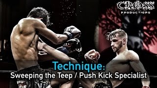 Sweeping the Teep amp Push Kick Specialist by Ognjen Topic [upl. by Theta]