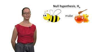 Null and alternative hypotheses with Lindsey Leach [upl. by Bronwyn68]