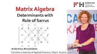 Learn the Rule of Sarrus for 3x3 Matrix Determinants [upl. by Otsedom]