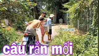 Câu Rắn Mối Bằng Mồi Dế Mùa Nước Nổi Ở Miền Tây  SĂN BẮT ĐỒNG THÁP [upl. by Nnairb]