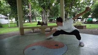 Tai Chi  LUMPINI PARK Thailand  The Shaolin Way [upl. by Iht714]