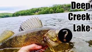 NEVER CAUGHT THIS FISH BEFORE Multi Species Fishing the BIGGEST Lake in Maryland [upl. by Naehs]