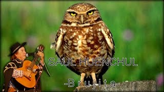 Saul Huenchul  Brujita [upl. by Valerie283]