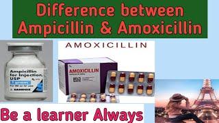 Difference between Ampicillin amp Amoxicillin [upl. by Haldi947]