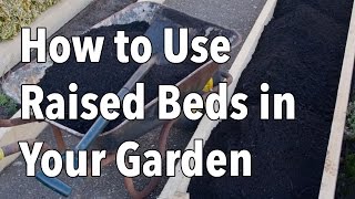 How to Use Raised Beds in Your Garden  Raised Bed Gardening [upl. by Kowatch]