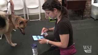 Dogs Learn New Tricks With the iPad [upl. by Parfitt221]