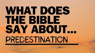 What Does The Bible Say About Predestination [upl. by Chere948]