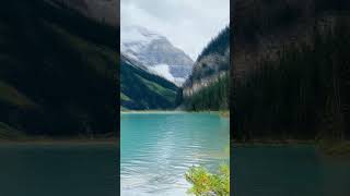 Mind Relax Sound amp Meditation A Peaceful Sound mindfulness naturerelaxingmusic [upl. by Ailyn]