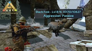 ARK Mobile  Taming LVL 900 Dire Wolf  Farming HideChitin ark arkmobile [upl. by Notnilc595]