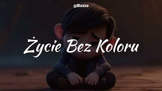 Alesko  Życie Bez Koloru Official Music Audio [upl. by Dorahs]