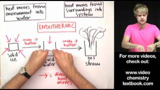 Phase Changes Exothermic or Endothermic [upl. by Demott898]