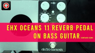 ElectroHarmonix OCEANS 11 Reverb pedal on Bass Guitar HSMR version [upl. by Nalat953]