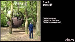 Vitalic  Stamina Maxi Version [upl. by Charteris]