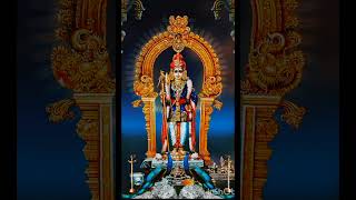 murugan songkantha guru gavasamswamy ayyappaayyapan songs bakthi padal [upl. by Three]