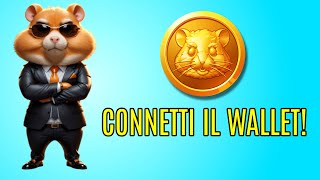 Collega SUBITO il Wallet su Hamster Kombat  Guida SICURA [upl. by Haneekas]