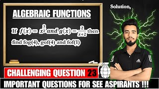 Solving Function Composition fg4 gf4 ff1  Class 10 Algebra 📚 [upl. by Melonie657]