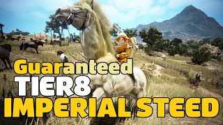 BDO Guaranteed T8 amp Imperial Steed Chance  🐎 [upl. by Chitkara]