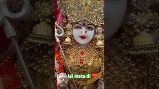 Maa bhakti div Vaishno Devi New viralvideo love maavaishnodevibhawan [upl. by Cirle267]