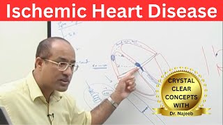 Ischemic Heart Disease  Myocardial Infarction  Cardiology🫀 [upl. by Noel948]