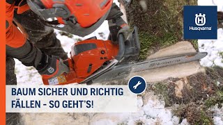 Baumfällung Sicher und richtig fällen HowTo  Husqvarna Forst [upl. by Ferriter907]