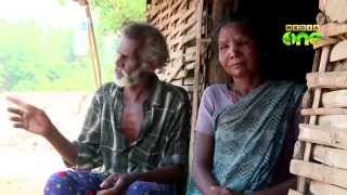 A close look into the life of the residents of Parapatty Adivasi colony Reporters Diary 641 [upl. by Anaerdna]