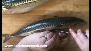 How to gut and fillet a mackerel Easy quick tutorial [upl. by Fugere]