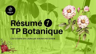 résumé TP botanique partie 1 [upl. by Ciredor727]